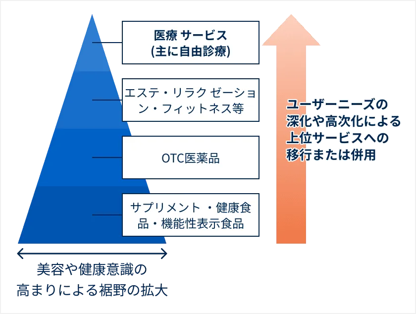 美容や健康意識の高まりによる裾野の拡大